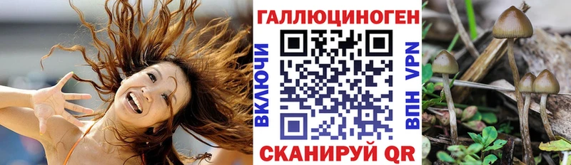 Купить где  Избербаш  Псилоцибиновые грибы ЛСД 