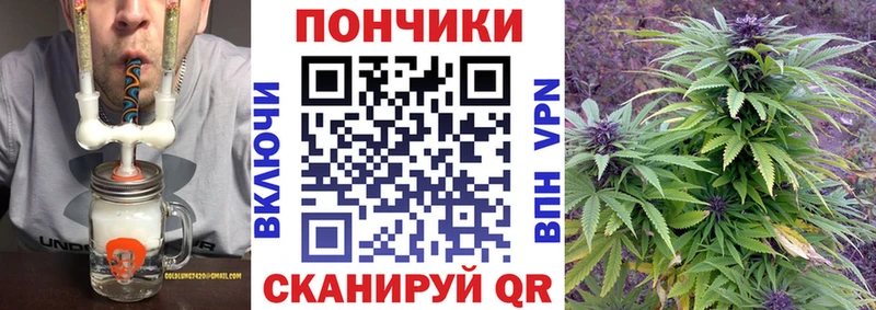 Бошки Шишки марихуана  Купить закладки  Избербаш 